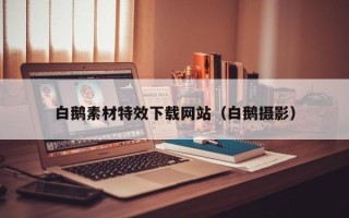 江山白鹅素材特效下载网站（白鹅摄影）